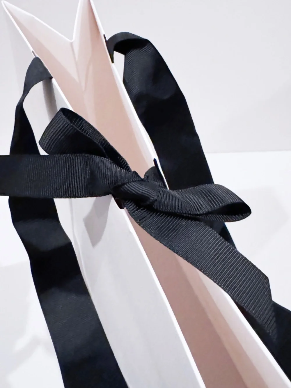 Four Seasons Hotels & Resorts Gift Bags Set of 2